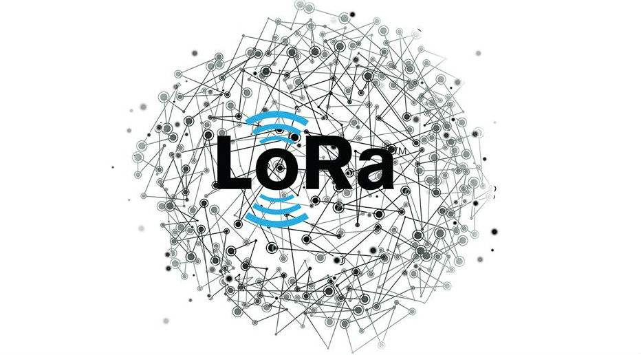 lora.jpg