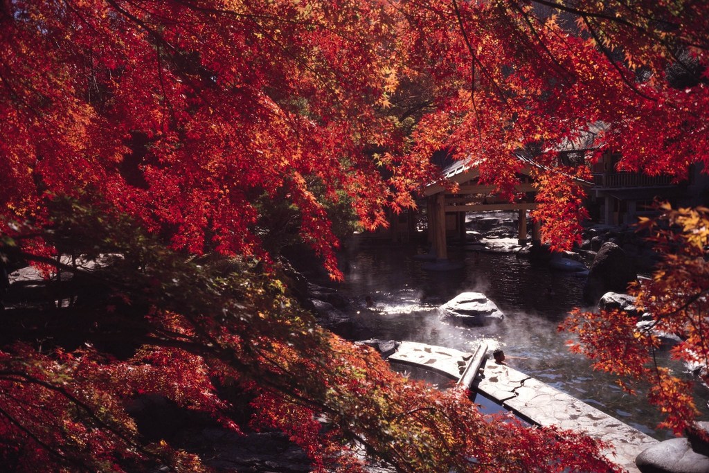 Natural Scenic Area.jpg