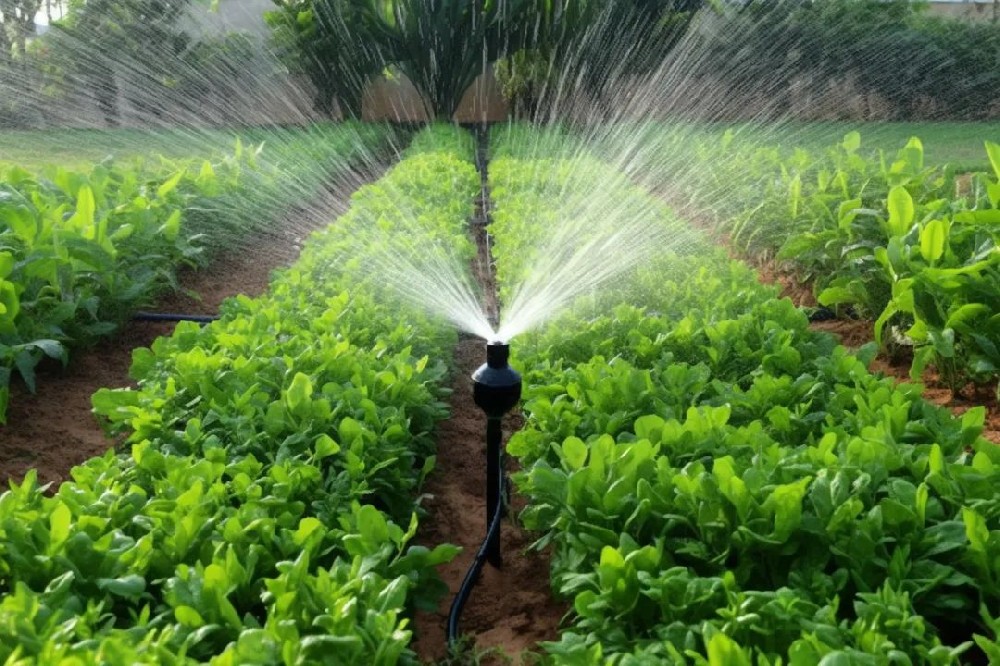 smart irrigation system.jpg