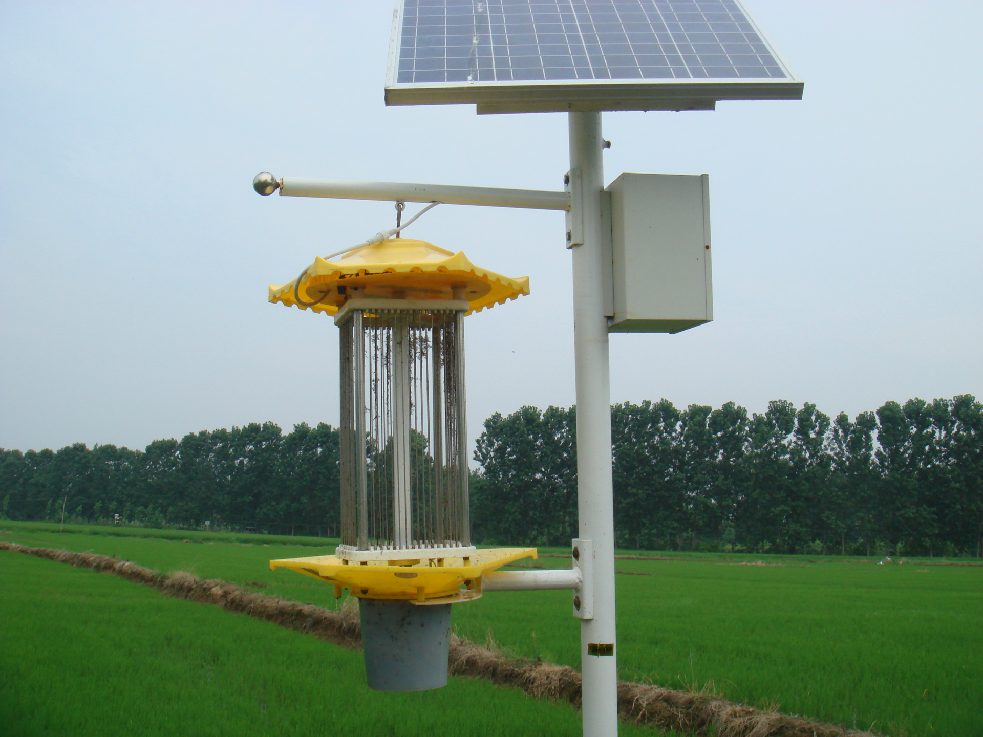 振频式杀虫灯.jpg 振频式杀虫灯.jpg